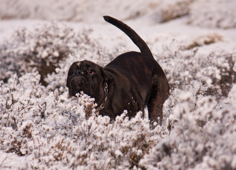 Erster Winterspaziergang