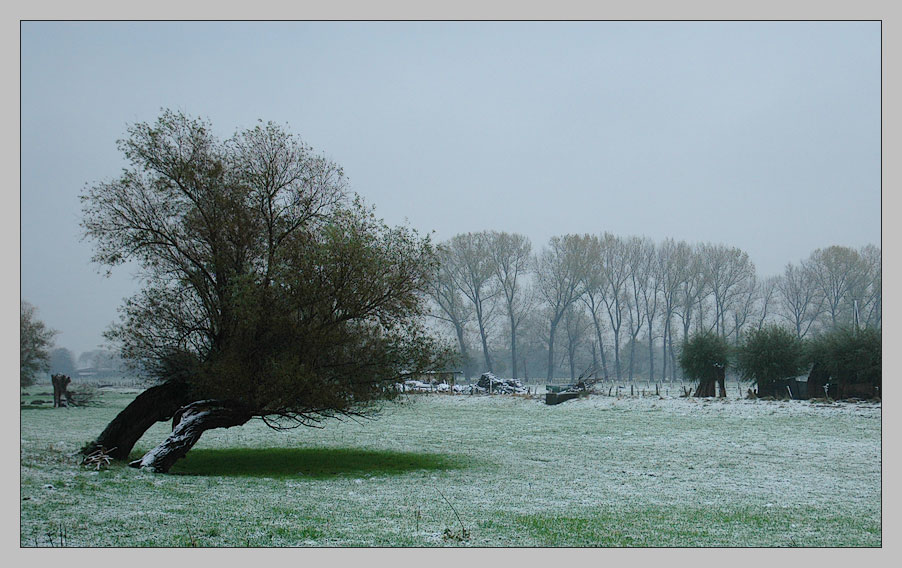 Erster Wintertag am Niederrhein