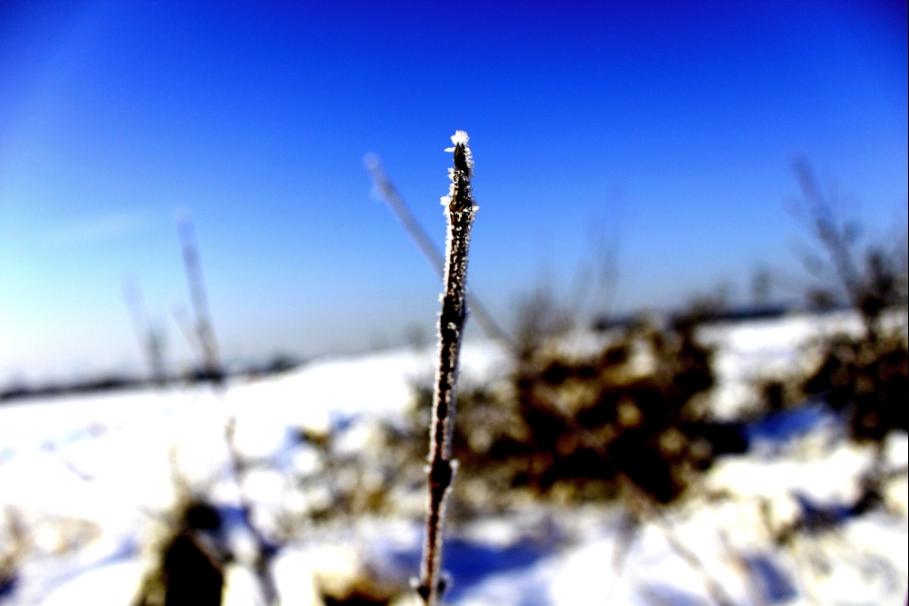 Erster Wintertag mit dslr