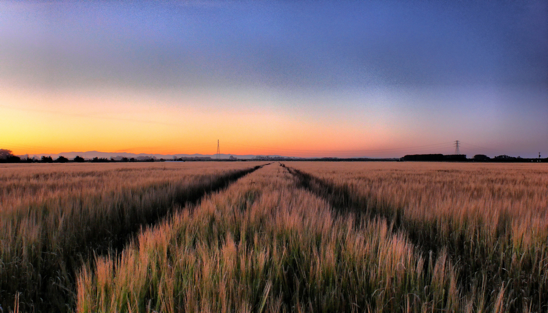 Erstes Bild aus Neuseeland (Canterbury - Lincoln)