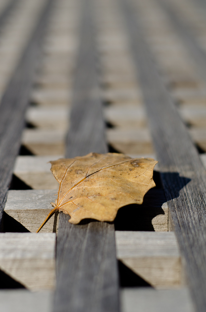 Erstes Blatt