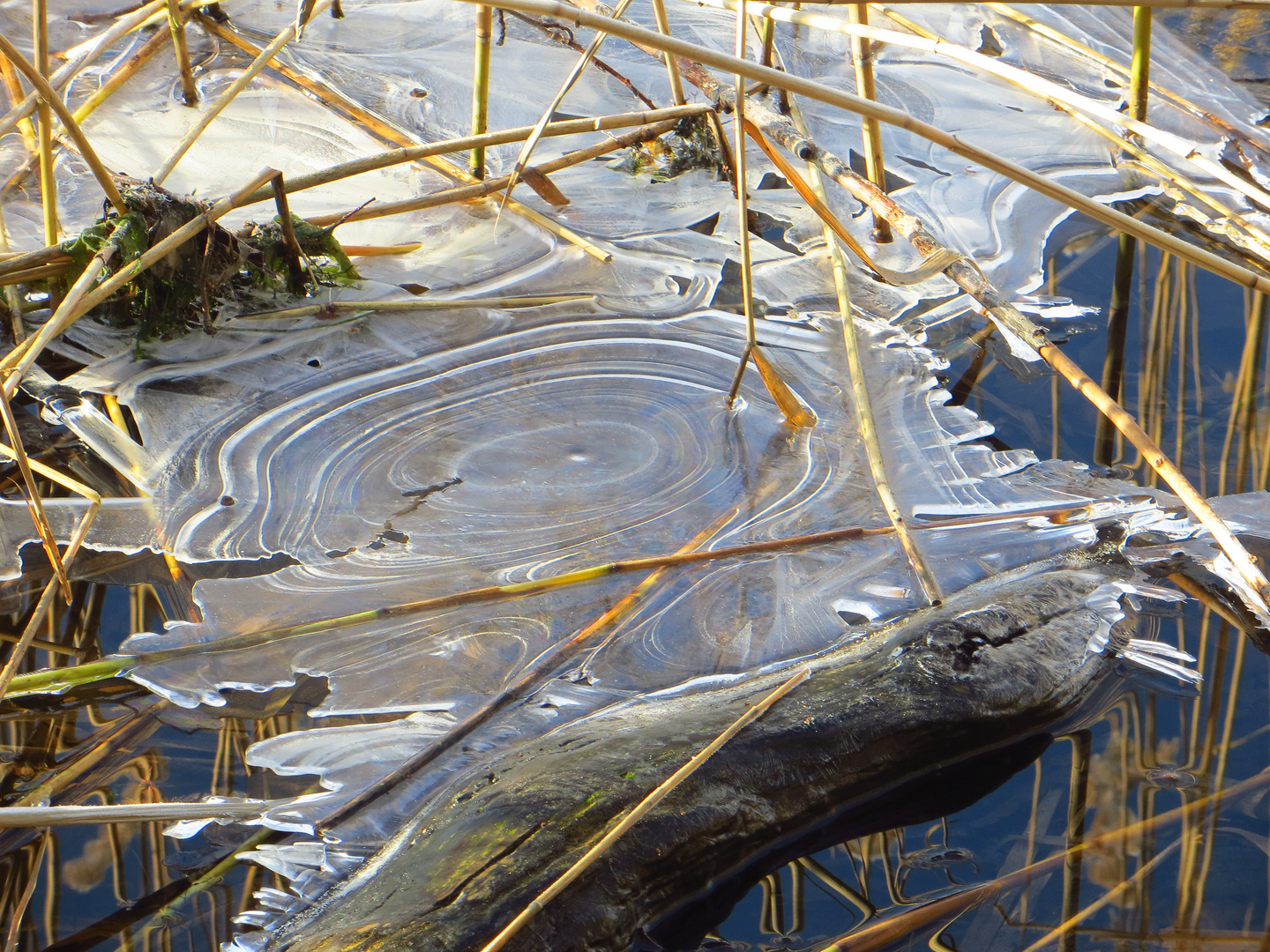 erstes eis auf dem kanal