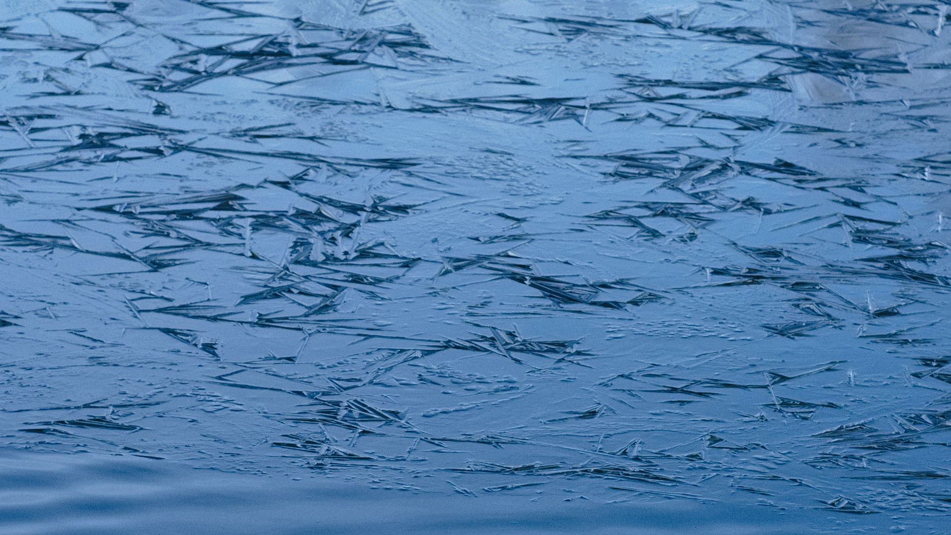 Erstes Eis des Winters auf dem Fechenheimer Weiher