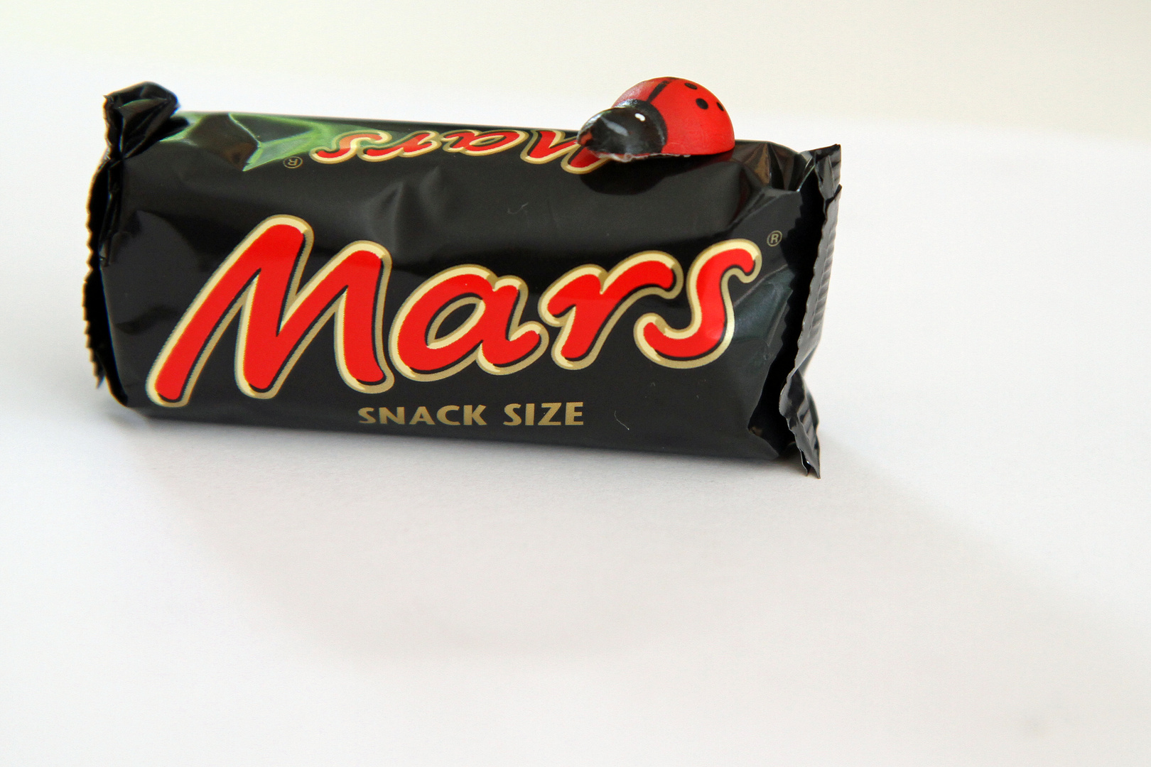 Erstes Fotodokument: Mars-Landung geglückt !!!