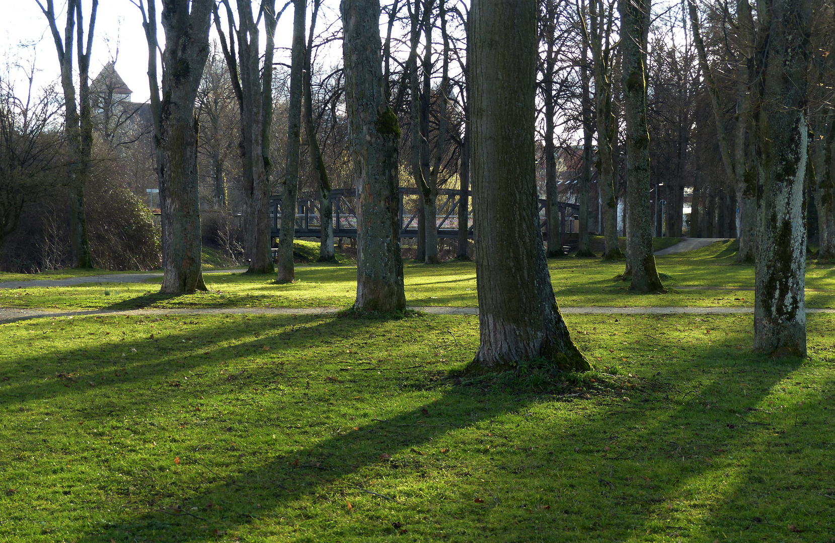 Erstes Frühjahrsgrün in den Eyachauen