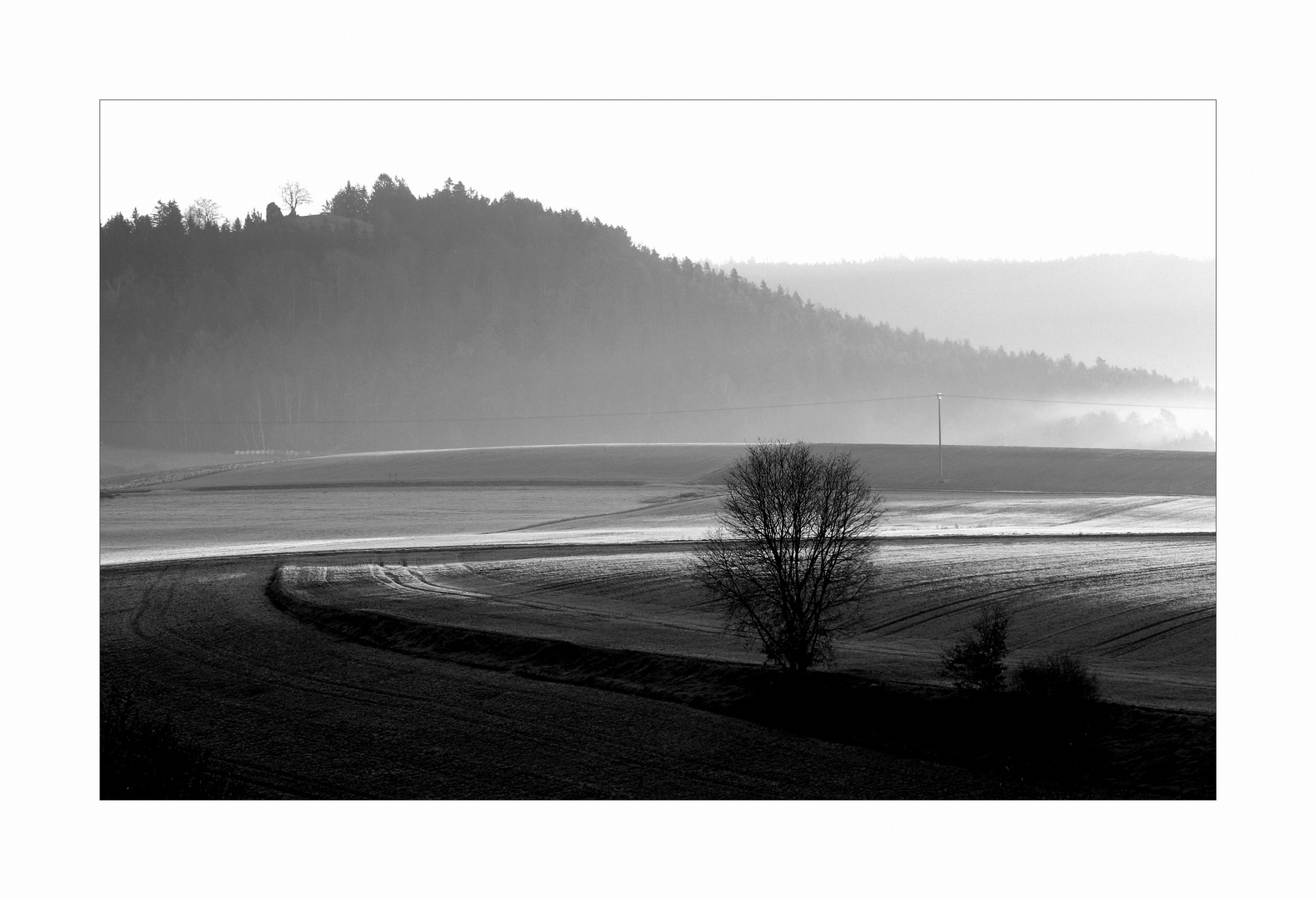 Erstes Frühlingslicht am Anzenstein