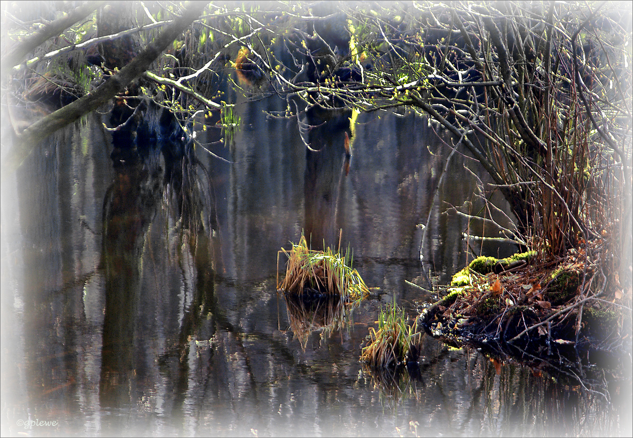 Erstes Grün am Wasser