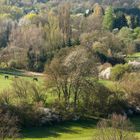 Erstes Grün im Frühling