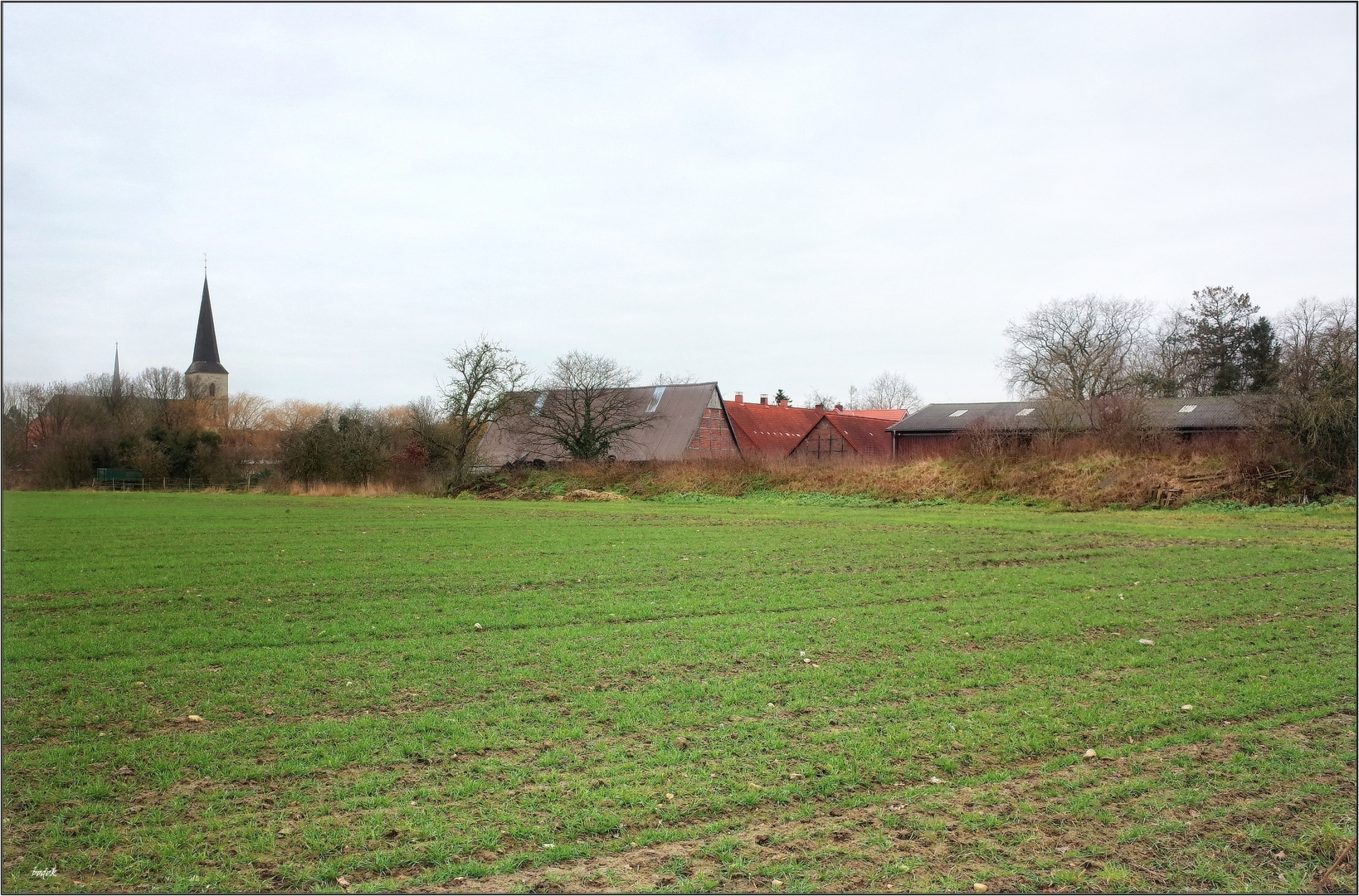 Erstes Grün in Uhlenbusch,..