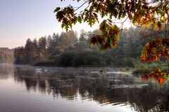 erstes Herbstlaub