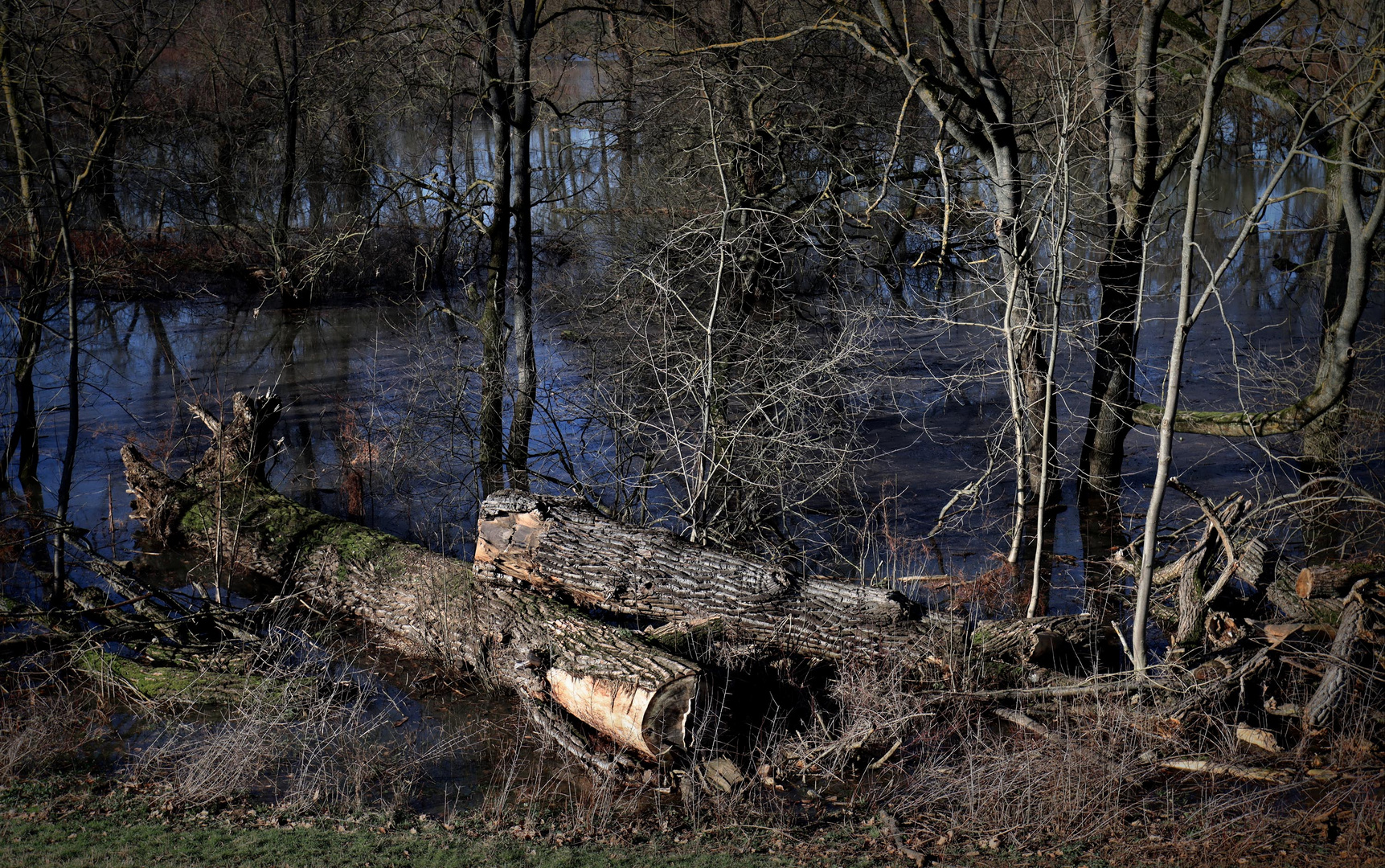 Erstes Hochwasser (4)