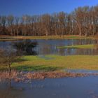 Erstes Hochwasser (6)