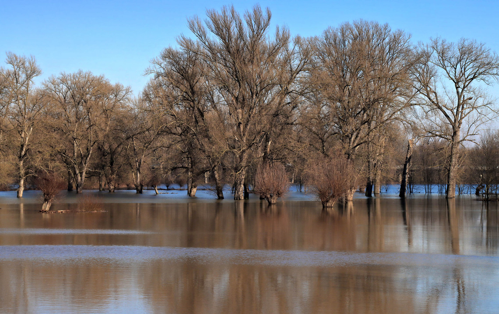 Erstes Hochwasser (7)