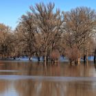 Erstes Hochwasser (7)