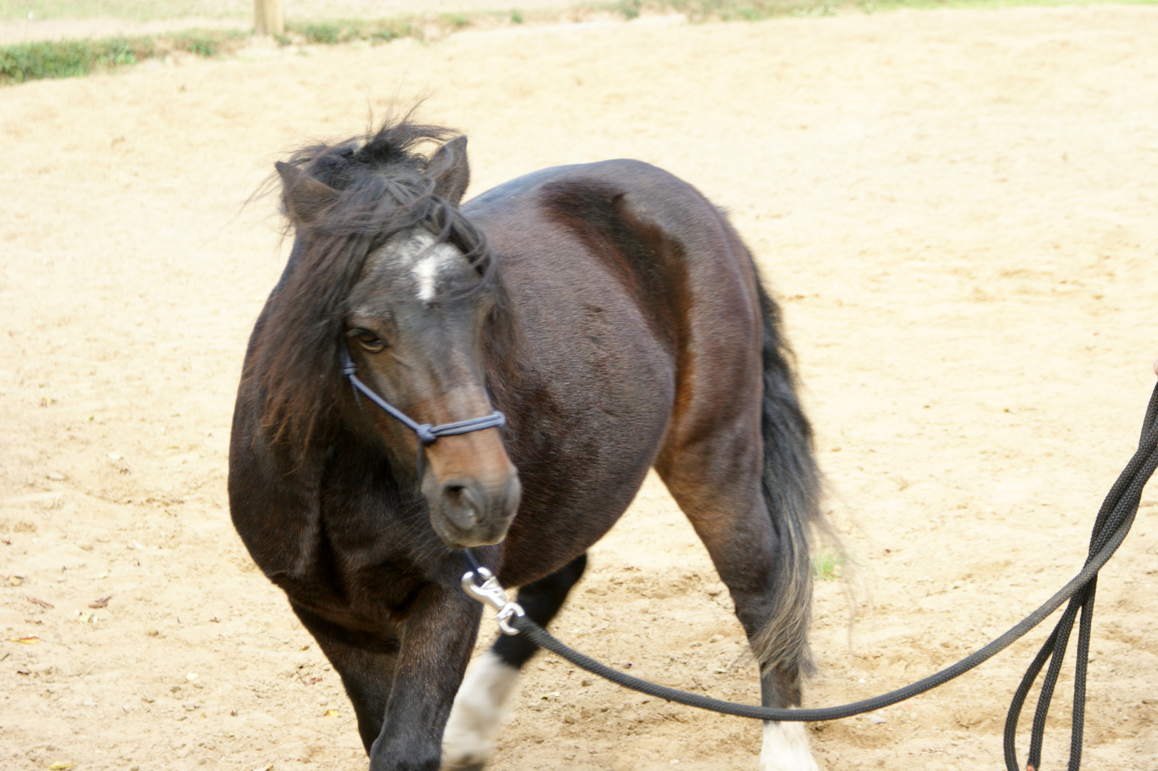 Erstes leichte Training