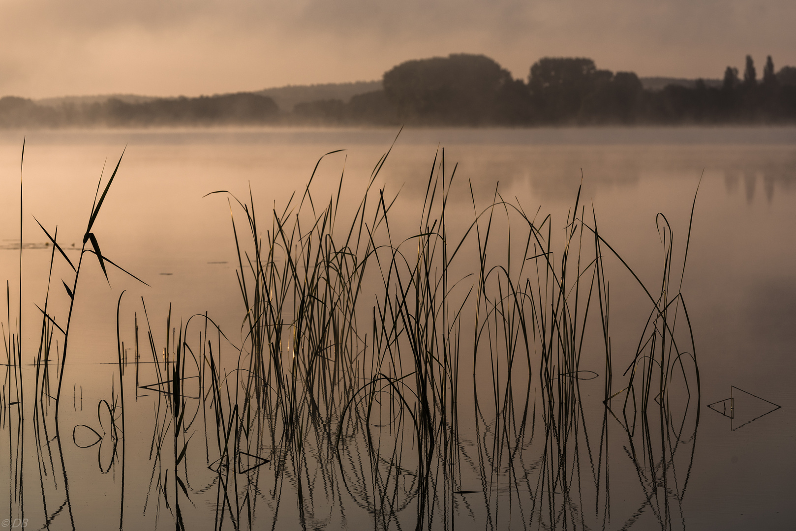 " ..erstes Licht "