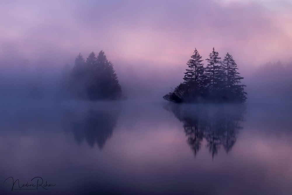 Erstes Licht am Auensee 