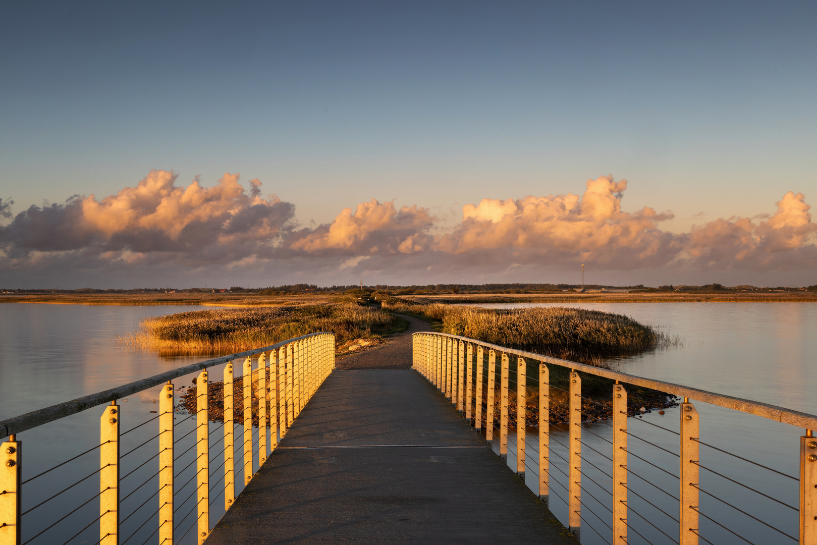 ...erstes Licht am Ringkøbing Fjord...