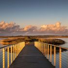 ...erstes Licht am Ringkøbing Fjord...