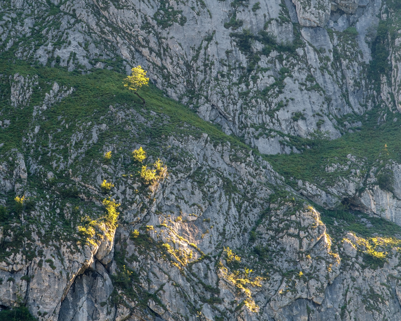 Erstes Licht an der Tal Wand am Obersee