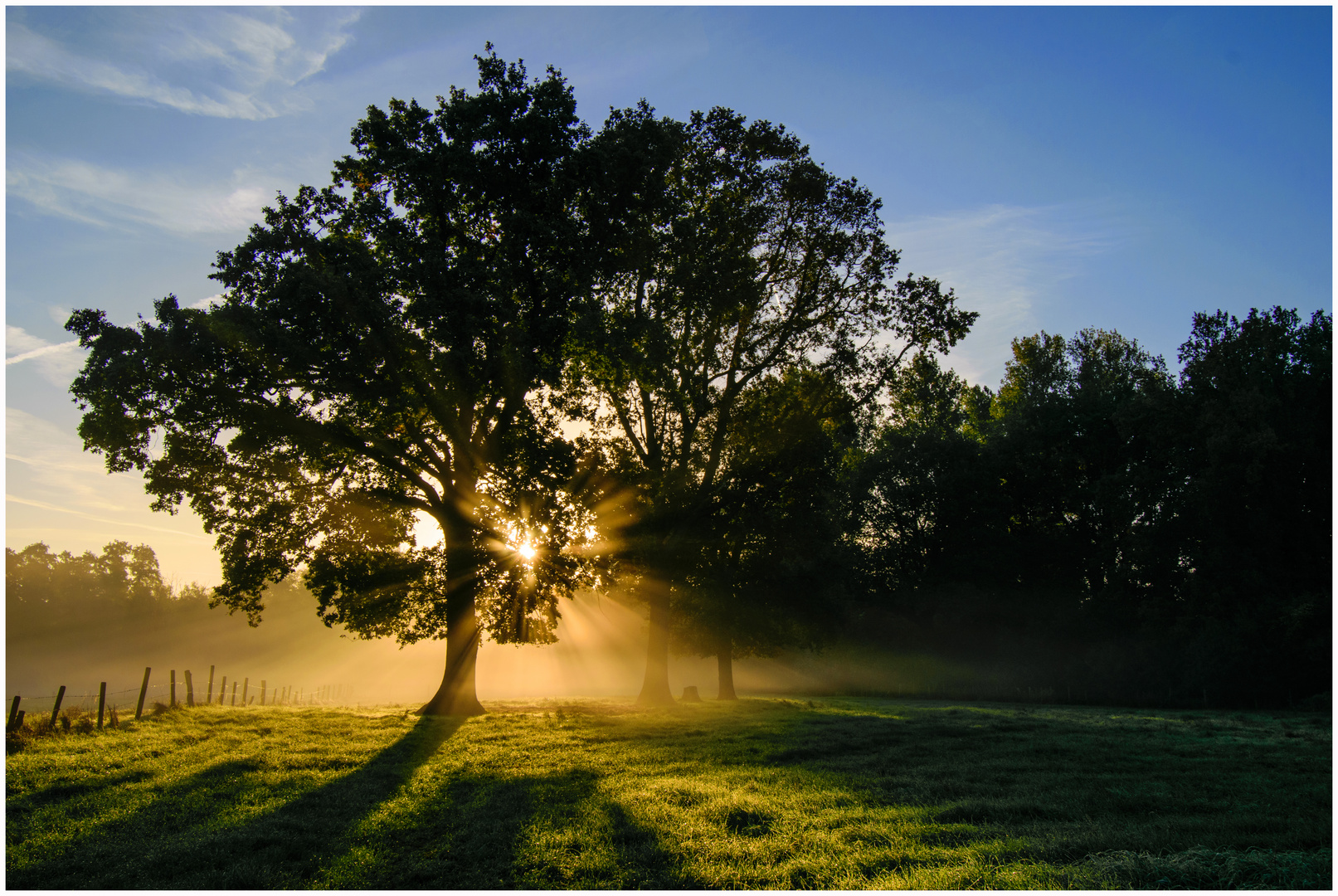 Erstes Morgenlicht