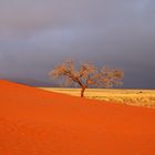 Erstes Morgenlicht am Fuße der großen Düne