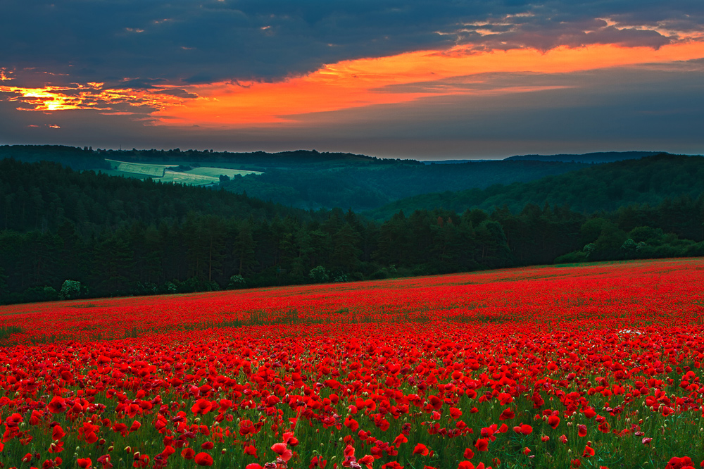 erstes ROT am Morgen