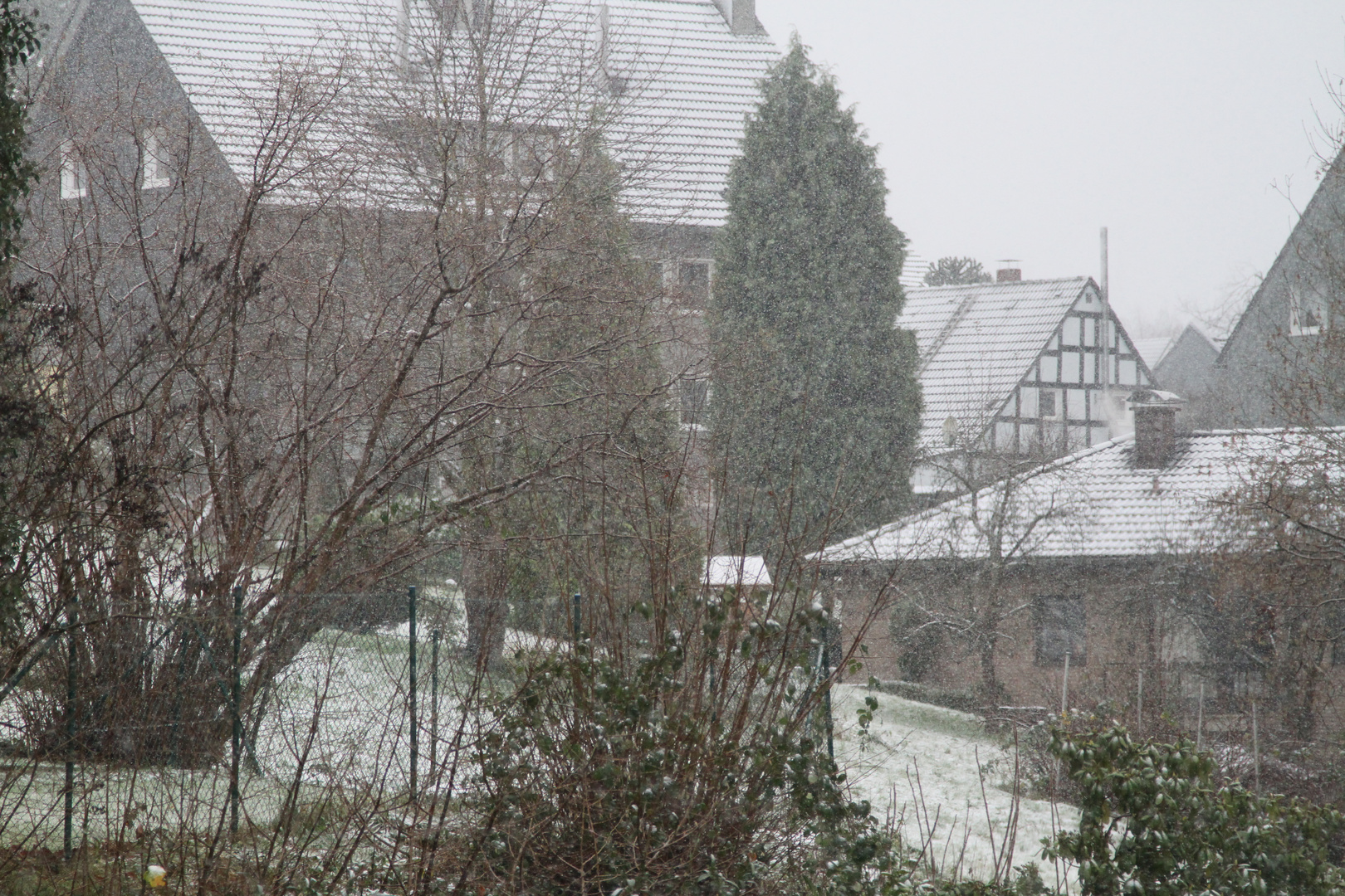 Erstes Schneegestöber