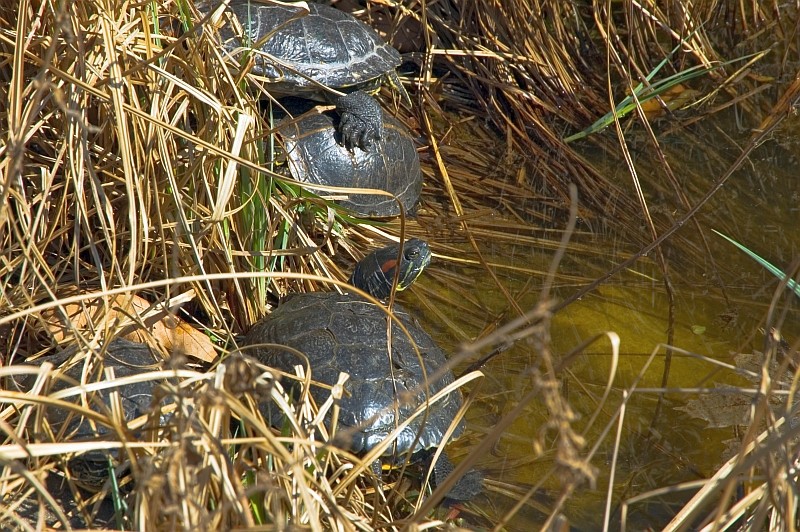 Erstes Sonnenbad