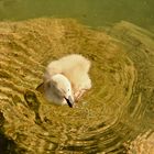 Erstes Sonnenbad im Frühling auf dem See.