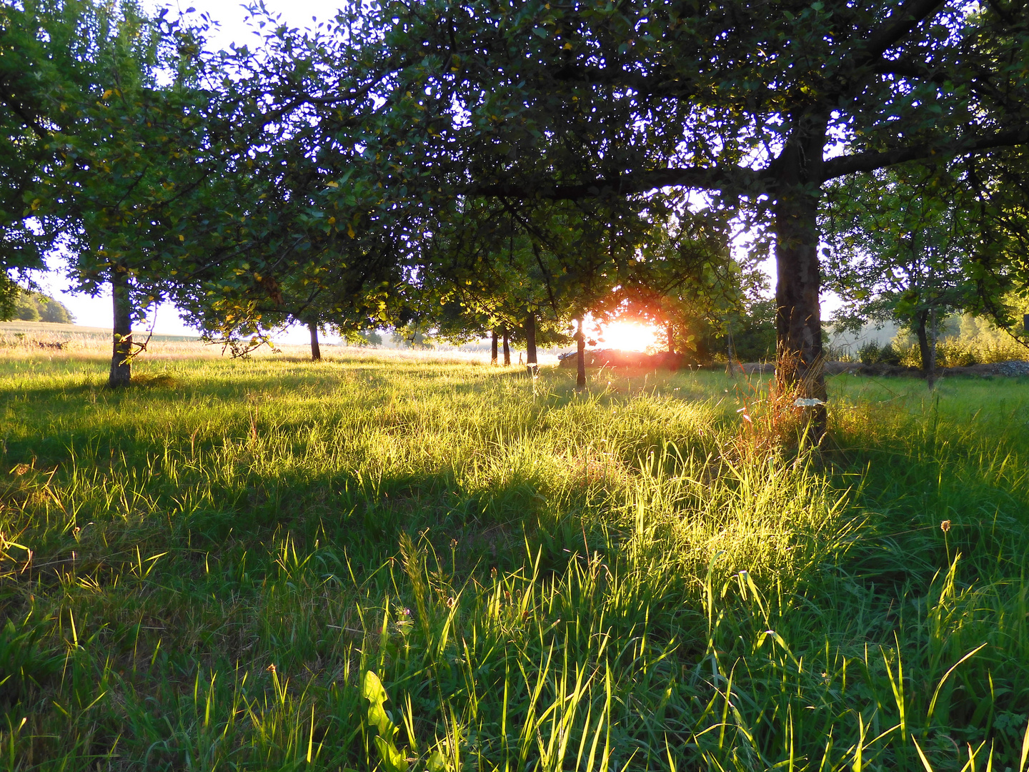 Erstes Sonnenlicht