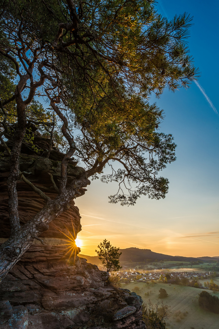 Erstes Sonnenlicht am Sprinzelfelsen