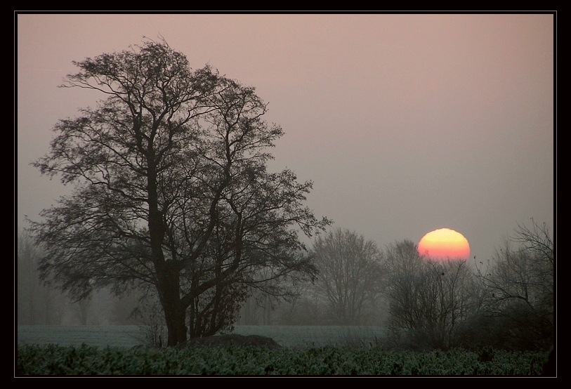 Erstes Tageslicht