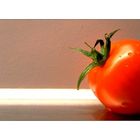 Erstes Tomaten-Makro ;-)