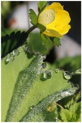 erstes üben mit meinem Makro