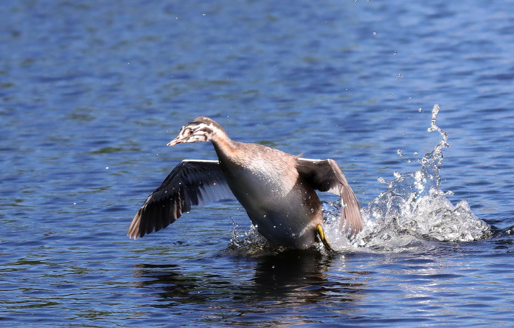 Erstflug