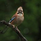 Erstklassiges Aprilwetter