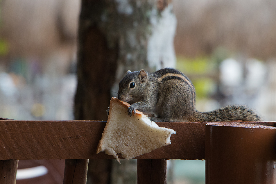 erstmal Brotzeit machen