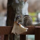 erstmal Brotzeit machen