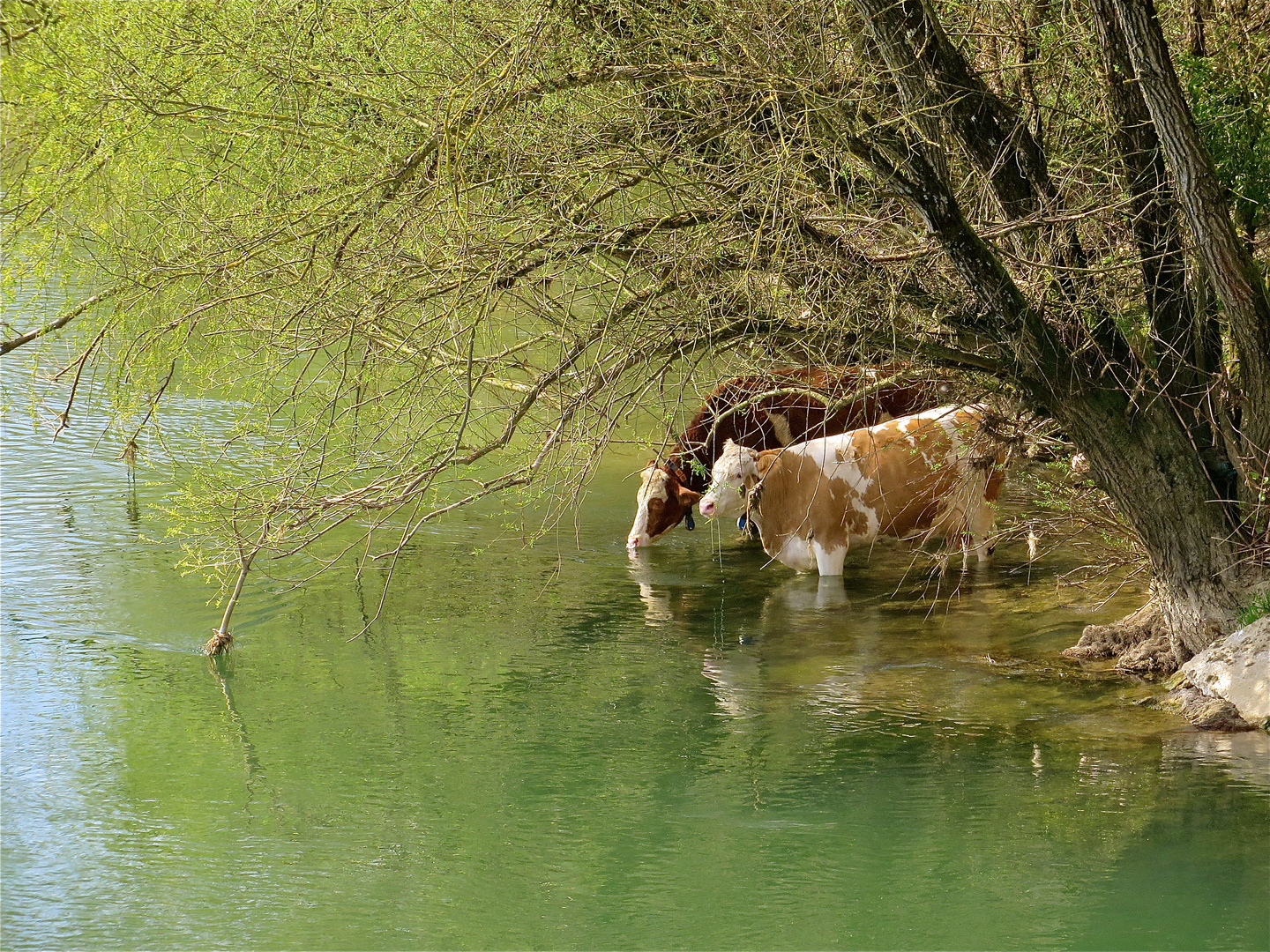 ...erstmal einen Schluck ...!!!..