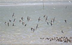 Erstmal genug gewälzt