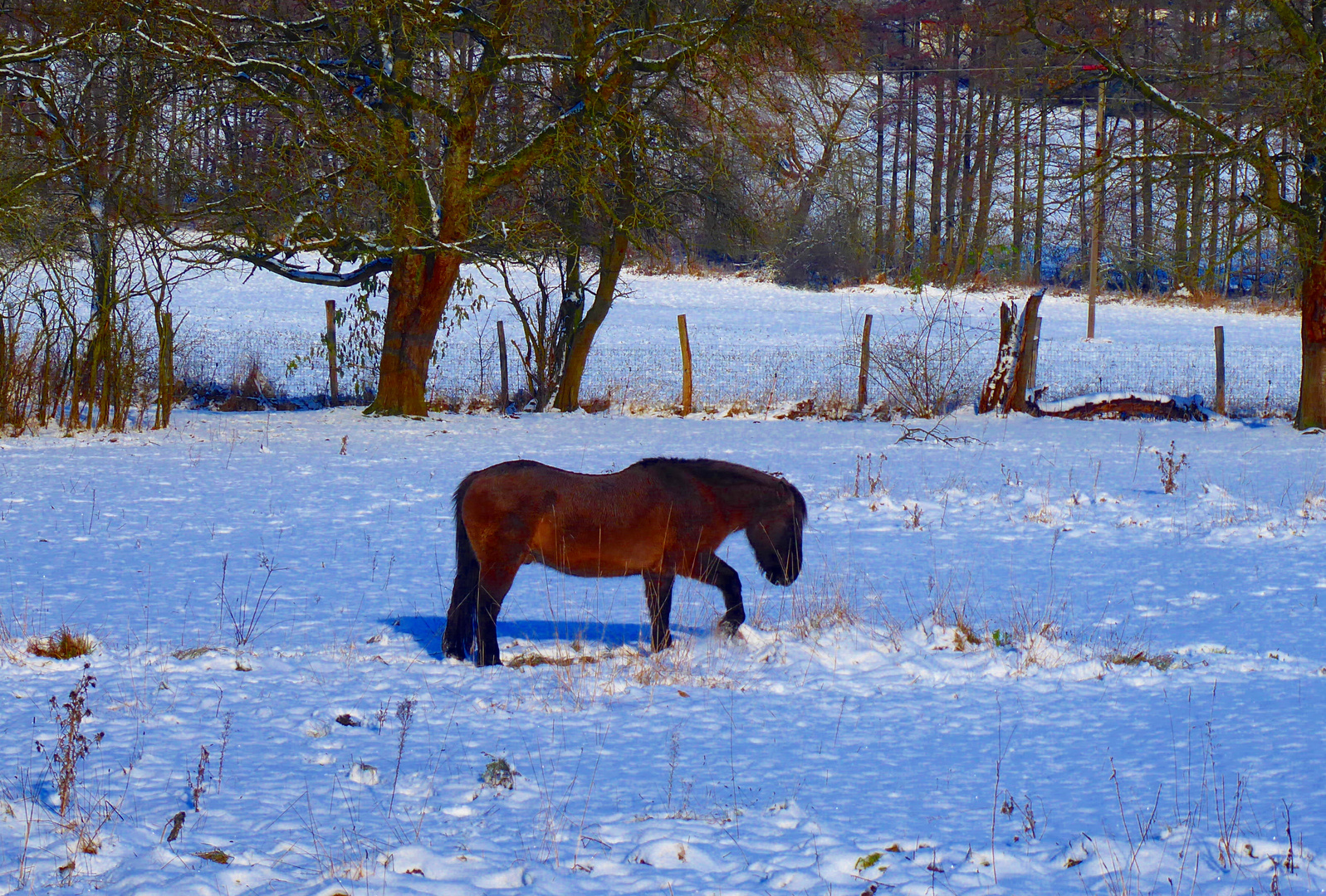 erstmal Schnee fegen