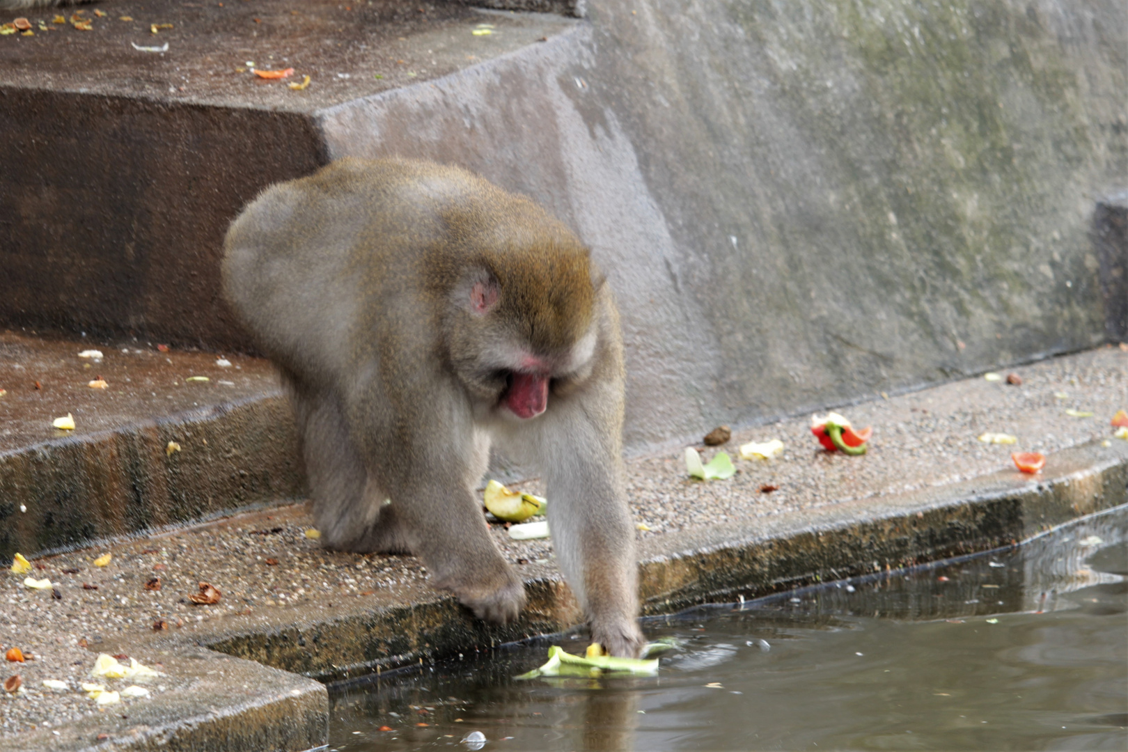 Erstmal waschen...