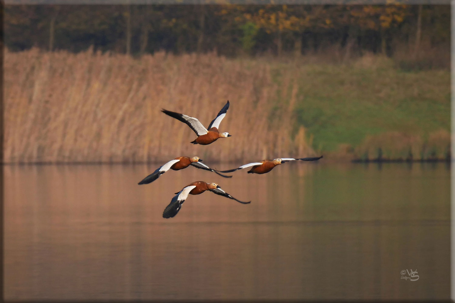 Erstmalig im Flug....