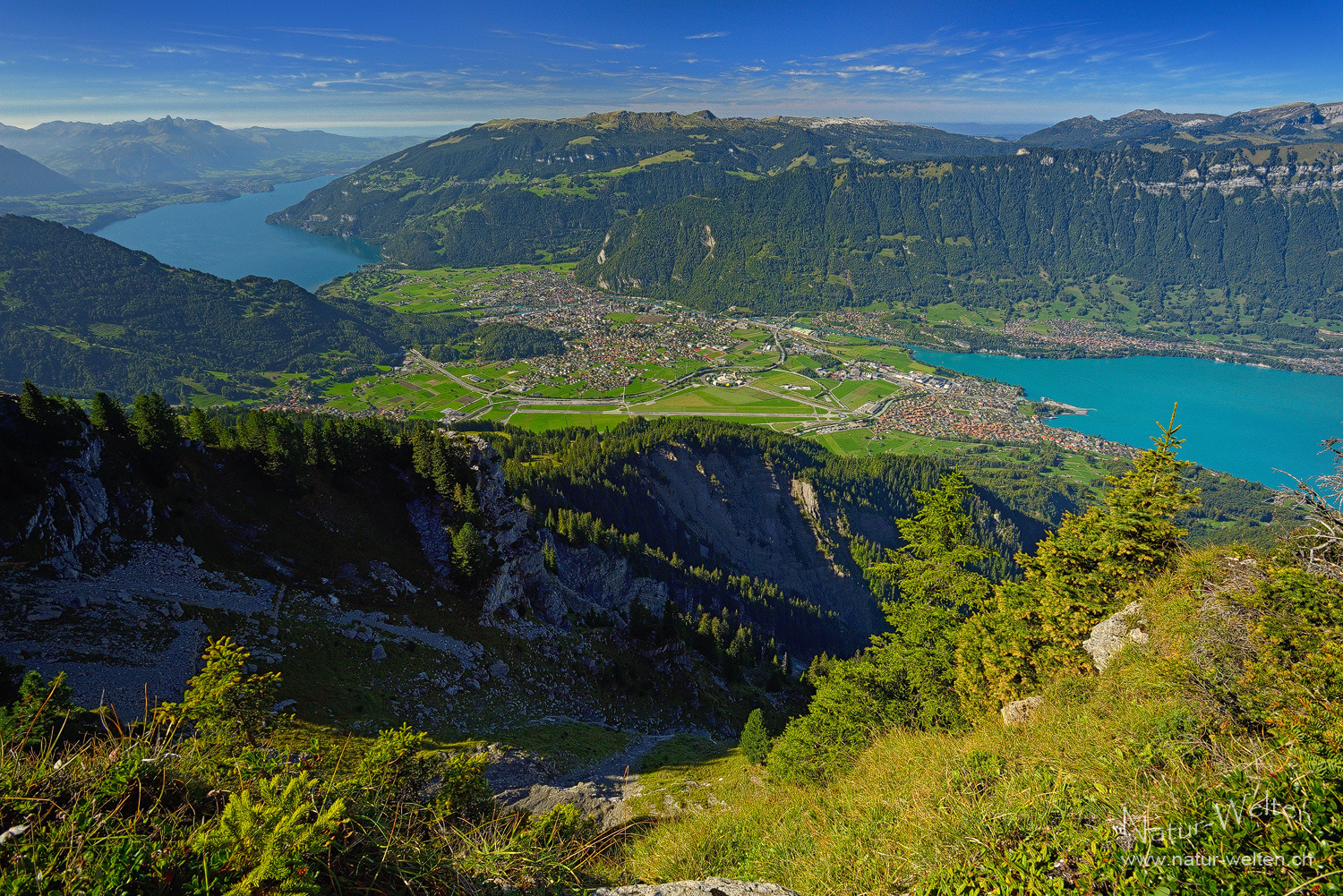 Erstmals auf der Schynigen Platte