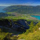 Erstmals auf der Schynigen Platte