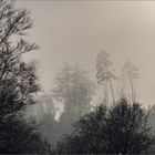 Erstmals war Novemberwetter