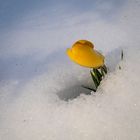 ERSTRAHLT übern dem Schnee