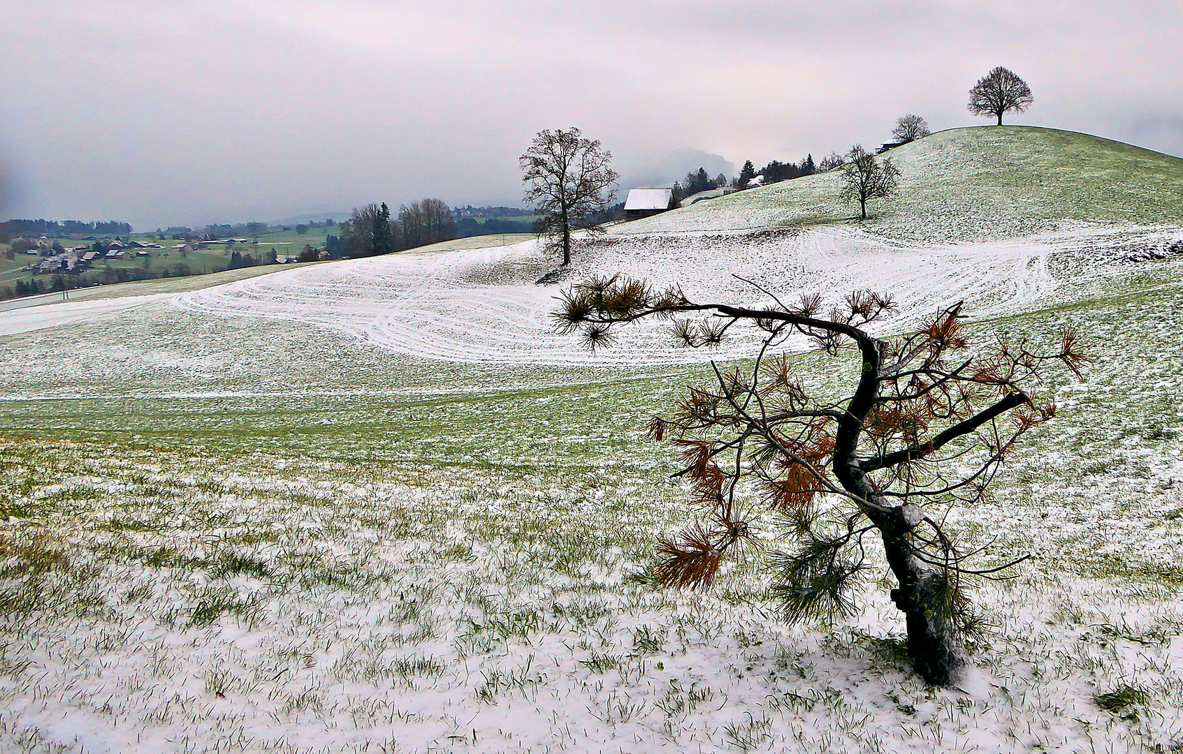 Erstschnee Winter 2019/20