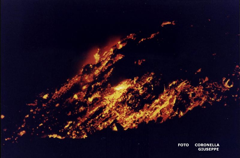 ERUZIONE ANNO 2001 ETNA2